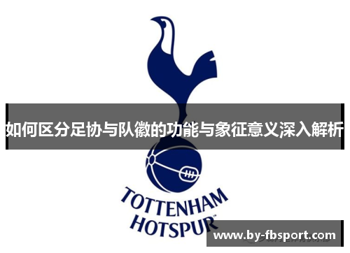 如何区分足协与队徽的功能与象征意义深入解析 如何区分足协与队徽的功能与象征意义深入解析