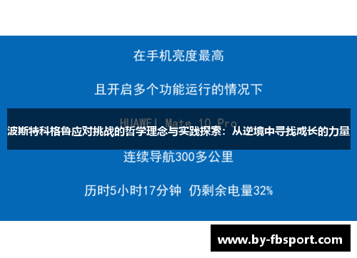 波斯特科格鲁应对挑战的哲学理念与实践探索：从逆境中寻找成长的力量