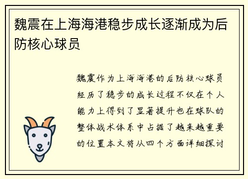 魏震在上海海港稳步成长逐渐成为后防核心球员